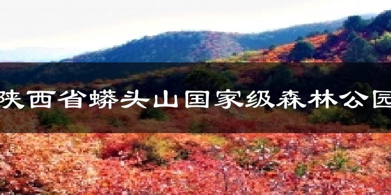 陕西省蟒头山国家级森林公园气温