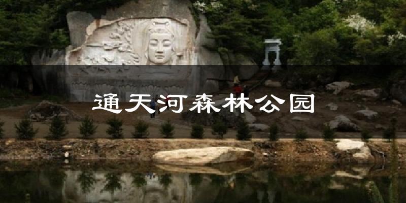 凤县通天河森林公园天气预报未来一周