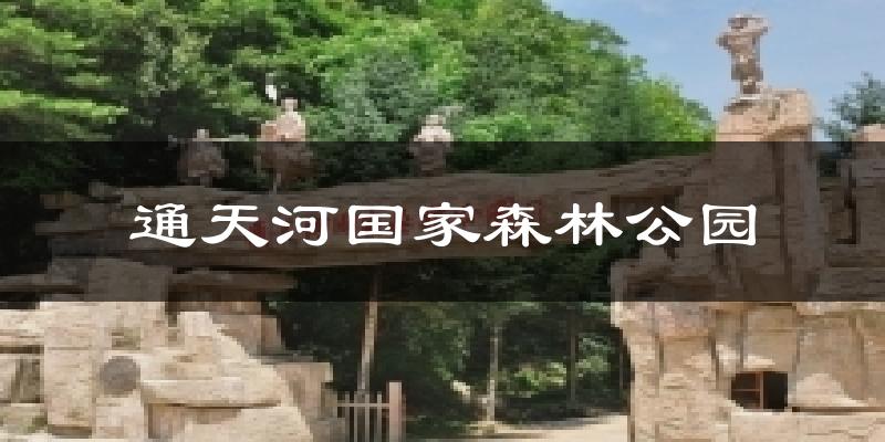 凤县通天河国家森林公园天气预报未来一周