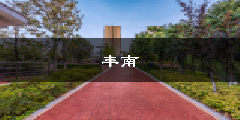 唐山丰南天气预报未来一周