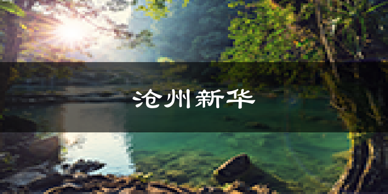 沧州沧州新华天气预报未来一周