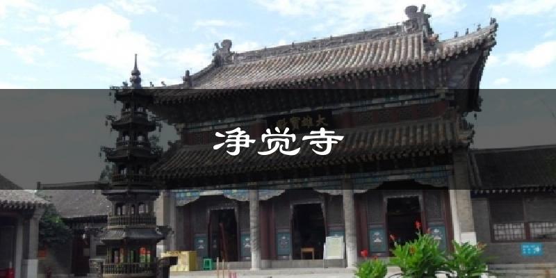 净觉寺气温