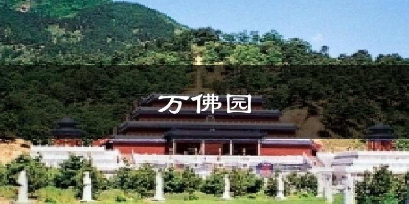 万佛园气温