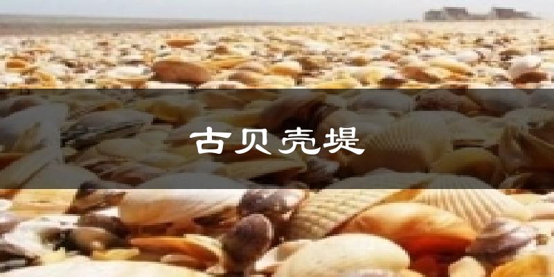 古贝壳堤今日天气
