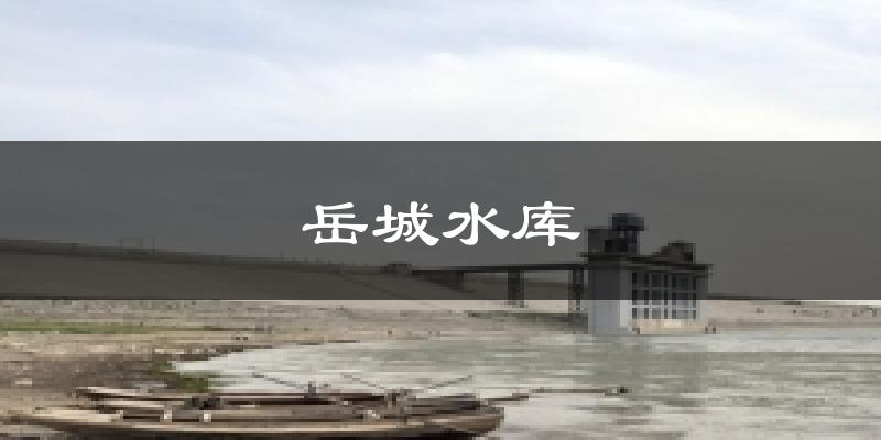 岳城水库气温