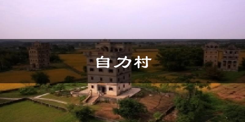 自力村气温