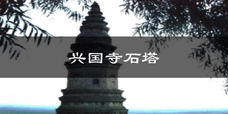 博野兴国寺石塔天气预报未来一周