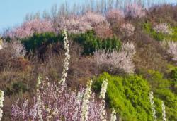 周至天气预报十五天