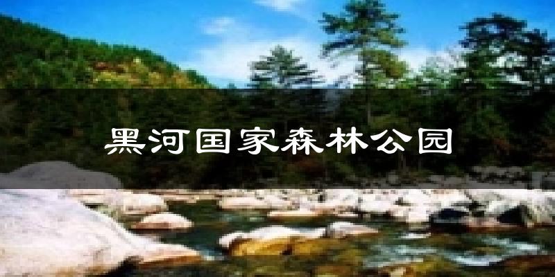 黑河国家森林公园今日天气