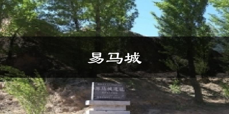 易马城今日天气