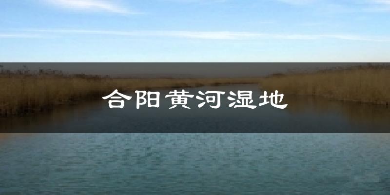 合阳黄河湿地今日天气