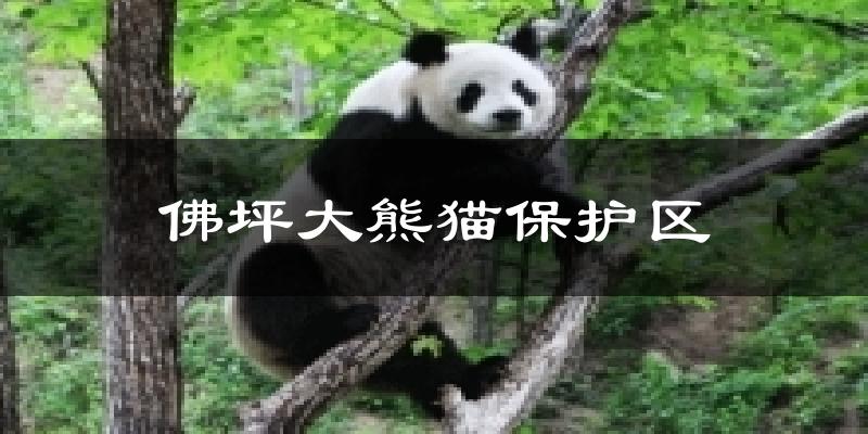 佛坪大熊猫保护区气温