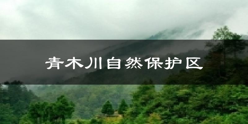 青木川自然保护区今日天气