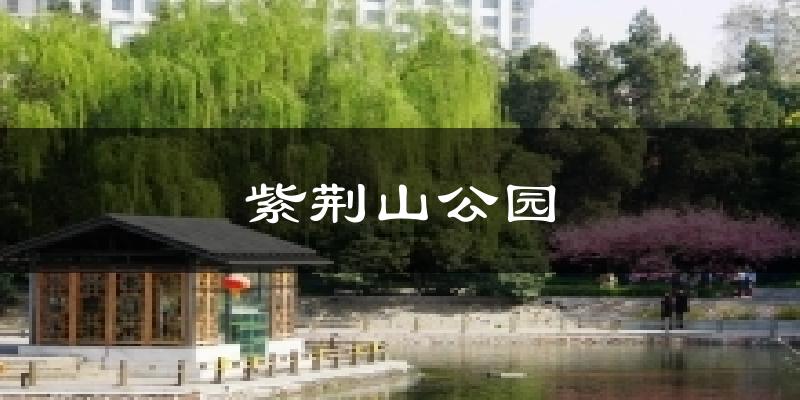 紫荆山公园气温