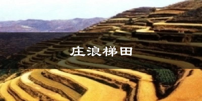 庄浪梯田气温