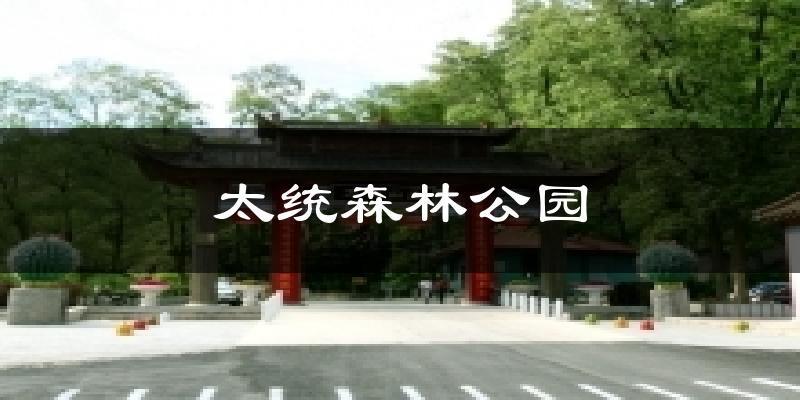 太统森林公园气温